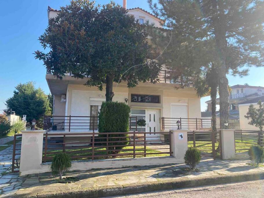 Family'S Home Trikala Εξωτερικό φωτογραφία